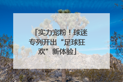 实力宠粉！球迷专列开出“足球狂欢”新体验