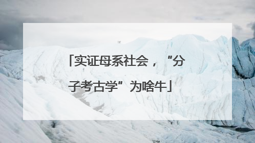 实证母系社会，“分子考古学”为啥牛