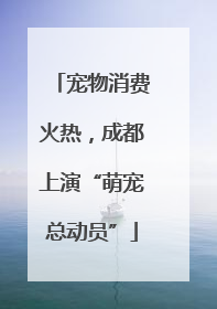 宠物消费火热，成都上演“萌宠总动员”