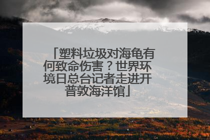 塑料垃圾对海龟有何致命伤害？世界环境日总台记者走进开普敦海洋馆