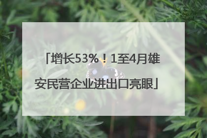 增长53%！1至4月雄安民营企业进出口亮眼