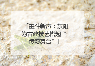 墨斗新声：东阳为古建技艺搭起“传习舞台”