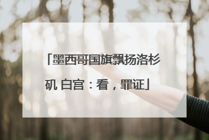 墨西哥国旗飘扬洛杉矶 白宫：看，罪证