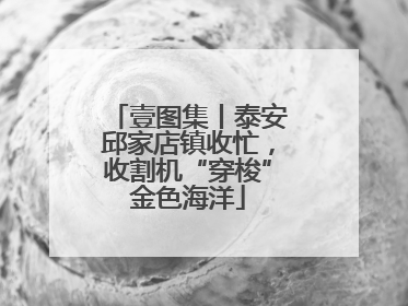 壹图集丨泰安邱家店镇收忙，收割机“穿梭”金色海洋