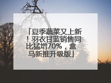 夏季蔬菜又上新！羽衣甘蓝销售同比猛增70%，盒马新推升级版