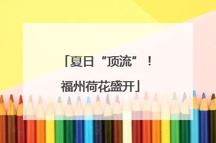 夏日“顶流”！福州荷花盛开