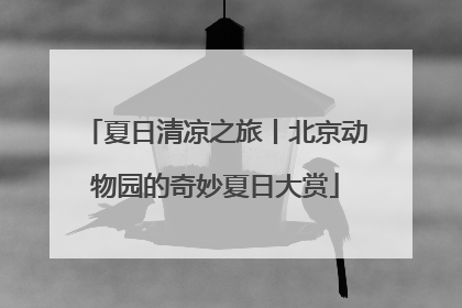 夏日清凉之旅丨北京动物园的奇妙夏日大赏