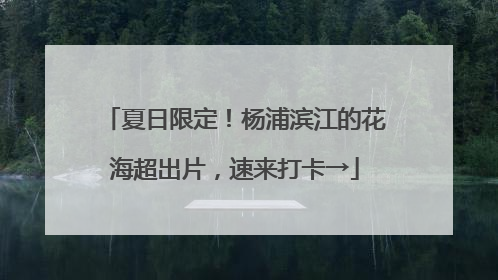 夏日限定！杨浦滨江的花海超出片，速来打卡→