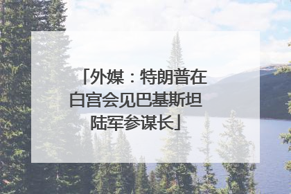 外媒：特朗普在白宫会见巴基斯坦陆军参谋长