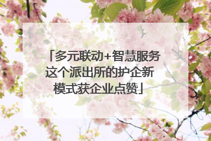 多元联动+智慧服务 这个派出所的护企新模式获企业点赞