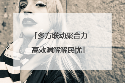 多方联动聚合力 高效调解解民忧