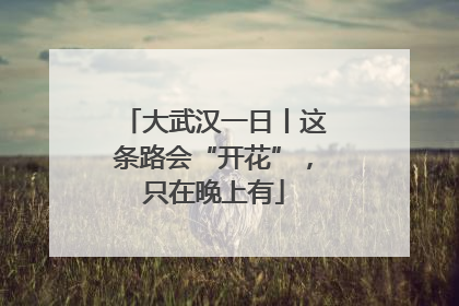 大武汉一日丨这条路会“开花”，只在晚上有
