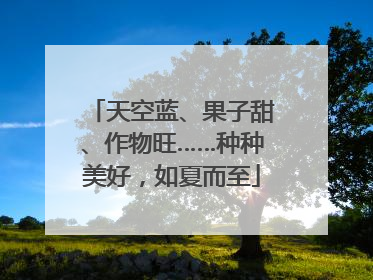 天空蓝、果子甜、作物旺……种种美好，如夏而至
