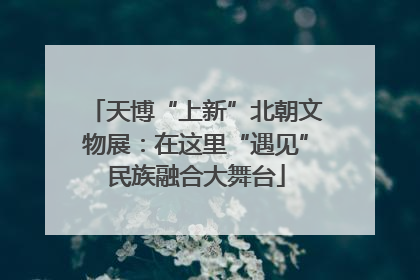 天博“上新”北朝文物展：在这里“遇见”民族融合大舞台