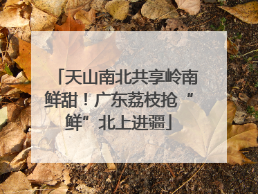 天山南北共享岭南鲜甜！广东荔枝抢“鲜”北上进疆