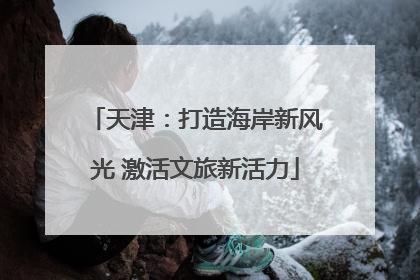天津：打造海岸新风光 激活文旅新活力