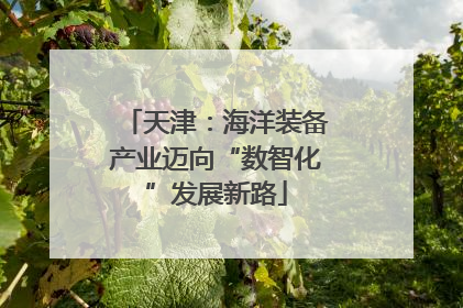 天津：海洋装备产业迈向“数智化”发展新路