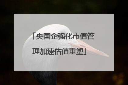 央国企强化市值管理加速估值重塑