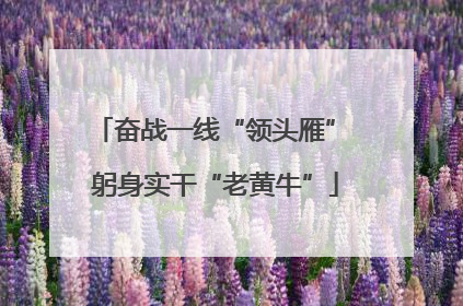 奋战一线“领头雁” 躬身实干“老黄牛”