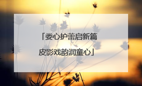 娄心护蕾启新篇 皮影戏韵润童心