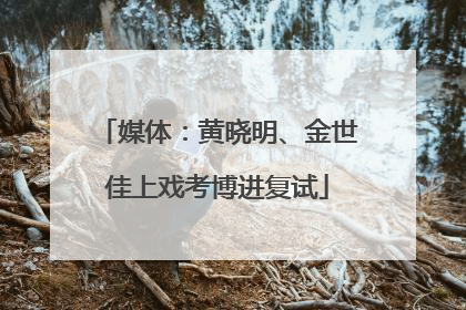 媒体：黄晓明、金世佳上戏考博进复试