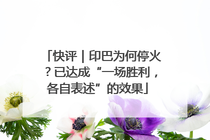 快评｜印巴为何停火？已达成“一场胜利，各自表述”的效果