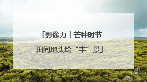 影像力丨芒种时节 田间地头绘“丰”景