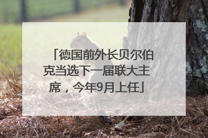德国前外长贝尔伯克当选下一届联大主席，今年9月上任