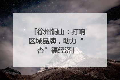徐州铜山：打响区域品牌，助力“杏”福经济