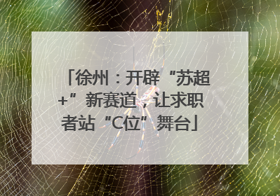 徐州：开辟“苏超+”新赛道，让求职者站“C位”舞台