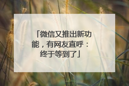 微信又推出新功能，有网友直呼：终于等到了