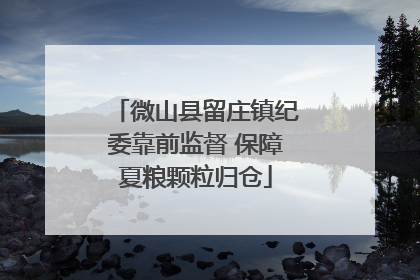 微山县留庄镇纪委靠前监督 保障夏粮颗粒归仓