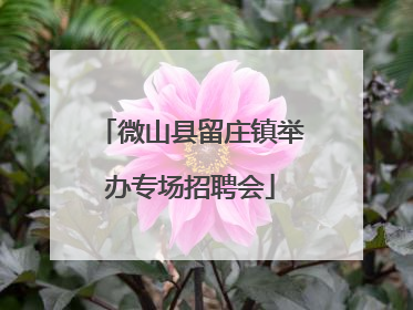 微山县留庄镇举办专场招聘会