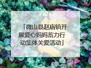 微山县赵庙镇开展爱心妈妈蓄力行动集体关爱活动