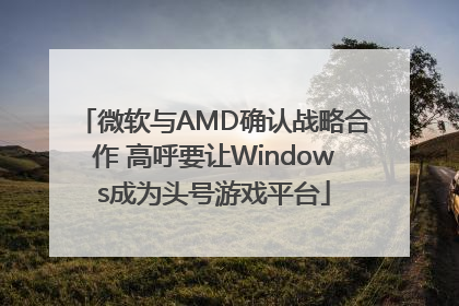 微软与AMD确认战略合作 高呼要让Windows成为头号游戏平台