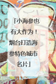 小海参也有大作为！烟台打造海参特色城市名片