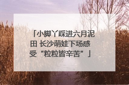 小脚丫踩进六月泥田 长沙萌娃下场感受“粒粒皆辛苦”