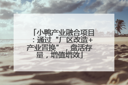 小鸭产业融合项目：通过“厂区改造+产业置换”，盘活存量，增值增效