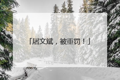 屠文斌，被重罚！