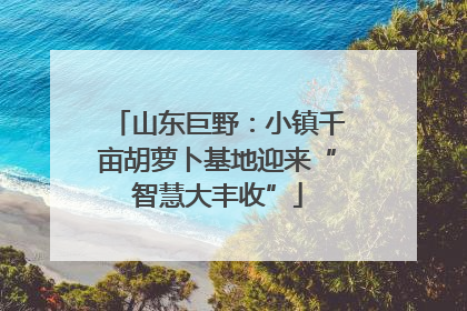 山东巨野：小镇千亩胡萝卜基地迎来“智慧大丰收”