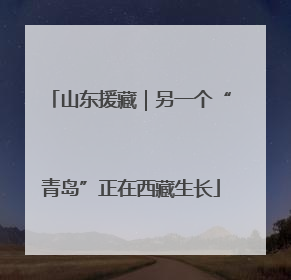 山东援藏｜另一个“青岛”正在西藏生长