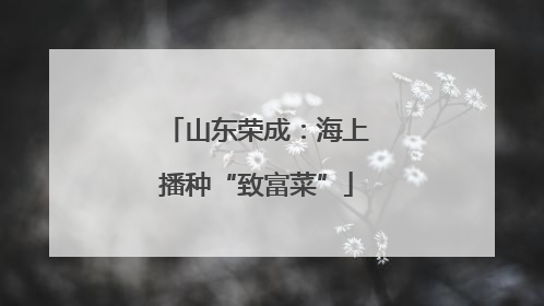 山东荣成：海上播种“致富菜”