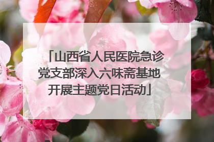 山西省人民医院急诊党支部深入六味斋基地开展主题党日活动