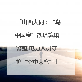山西大同：“鸟中国宝”铁塔筑巢繁殖 电力人员守护“空中来客”