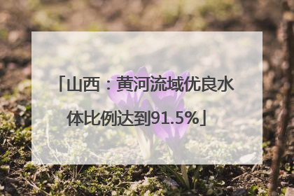 山西：黄河流域优良水体比例达到91.5%
