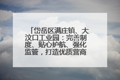 岱岳区满庄镇、大汶口工业园：完善制度、贴心护航、强化监管，打造优质营商“强磁场”