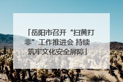 岳阳市召开“扫黄打非”工作推进会 持续筑牢文化安全屏障