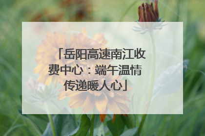 岳阳高速南江收费中心：端午温情传递暖人心