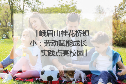 峨眉山桂花桥镇小：劳动赋能成长，实践点亮校园