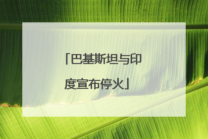 巴基斯坦与印度宣布停火